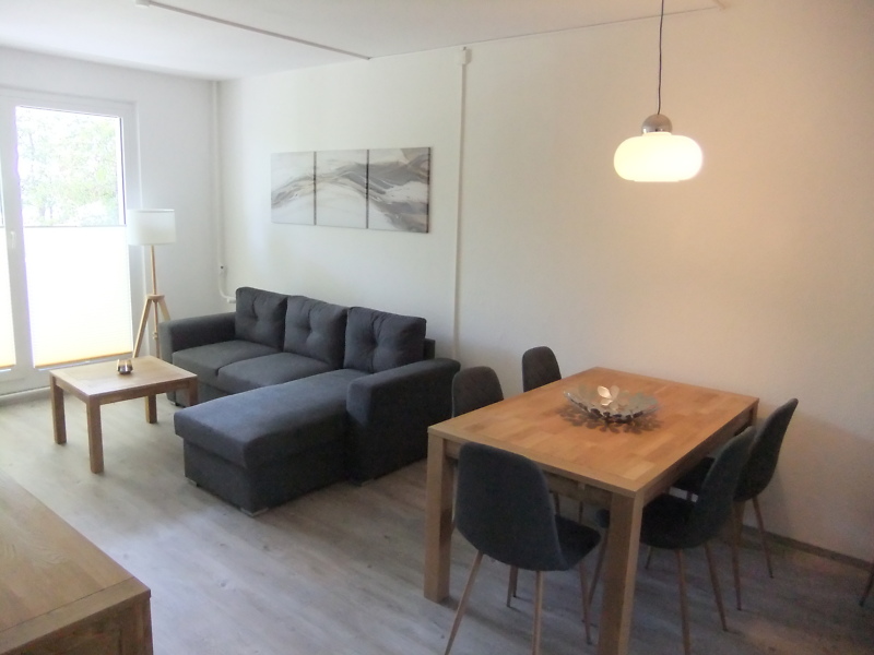 Möbliertes Wohnzimmer mit Schlafcouch und Esstisch